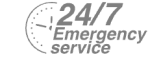24/7 Emergency Service Pest Control in Twickenham, St. Margarets, TW1, TW2. Call Now! 020 8166 9746